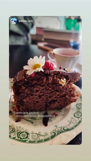 Chocolate cake 🍫 at Los Padmitos - San Marcos in Quito
