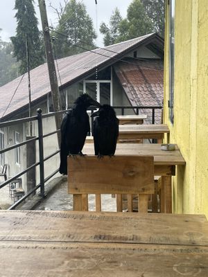 Outside seating  at Cafe Noshers in Nuwara Eliya