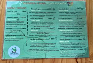   at The Green Spoon in La Fortuna