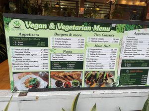   at The Green Spoon in La Fortuna