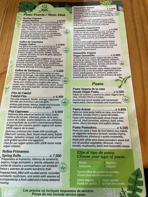   at The Green Spoon in La Fortuna