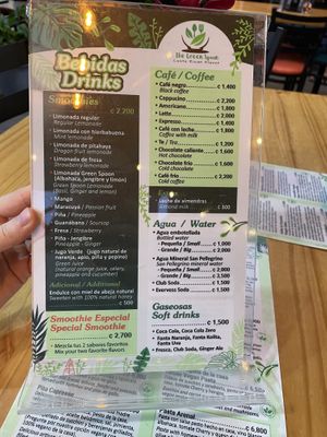   at The Green Spoon in La Fortuna