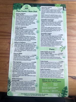   at The Green Spoon in La Fortuna