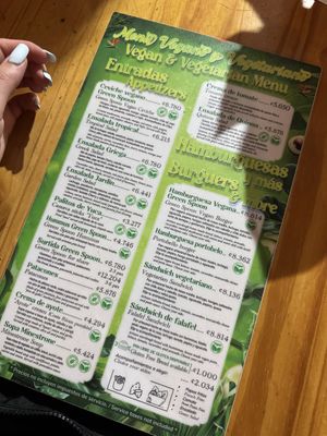   at The Green Spoon in La Fortuna