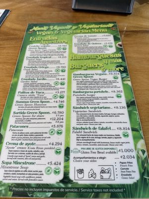  at The Green Spoon in La Fortuna