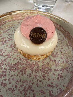 Go Vegan! dessert   at Tribe Malta in Valletta