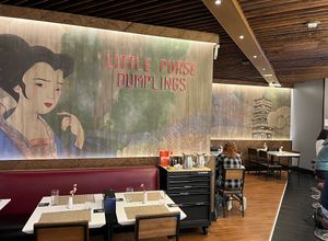 Little Purse Dumplings at IAH #Veganuary at IAH - Little Purse - TC in Houston