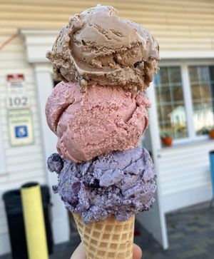 Vegan: chocolate, strawberry, blueberry mint at Carmel Creamery in Carmel