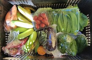 Mais frutas e legumes at Zerão Organic Fair - Feira Orgânica do Zerão in Londrina