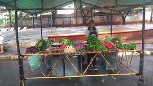 Um dos cinco agricultores at Zerão Organic Fair - Feira Orgânica do Zerão in Londrina