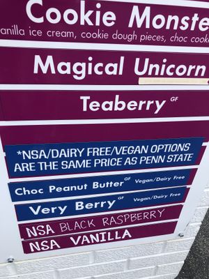   at Little Dipper's Ice Cream in Mount Joy