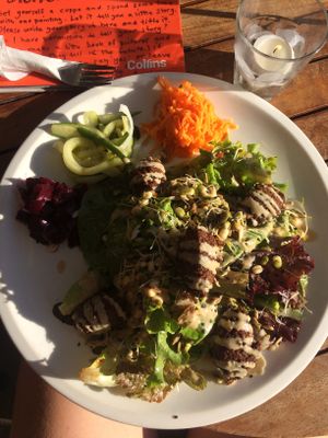 Falafel plate at Dangerous Kitchen in Takaka