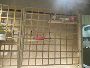   at Pompidop in Brussels