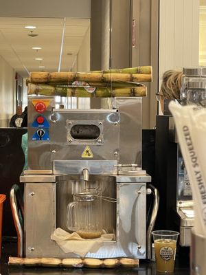 Sugar cane being juiced  at Freshly Squeezed  in Dieppe