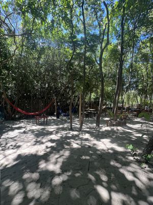   at Coelho Vegano in Tibau Do Sul