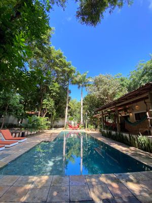 We have a big pool and the best, those Palms Tree. 🌴💚 at Coelho Vegano in Tibau Do Sul