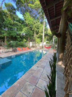 🩵 at Coelho Vegano in Tibau Do Sul