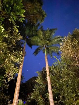 At night  at Coelho Vegano in Tibau Do Sul