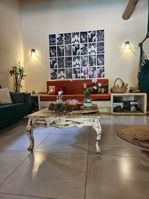  at Coelho Vegano in Tibau Do Sul