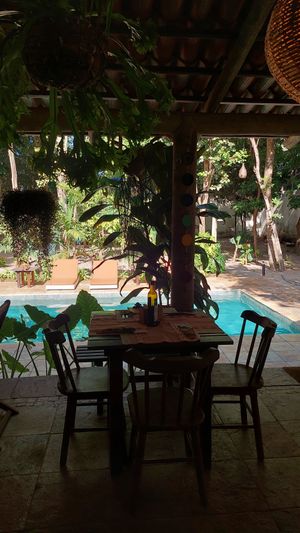 Restaurant at Coelho Vegano in Tibau Do Sul