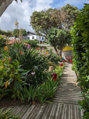 Rooftop garden views from one of the front tables at Terra Fogo in Sao Miguel