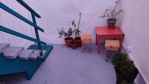  at Terra Fogo in Sao Miguel