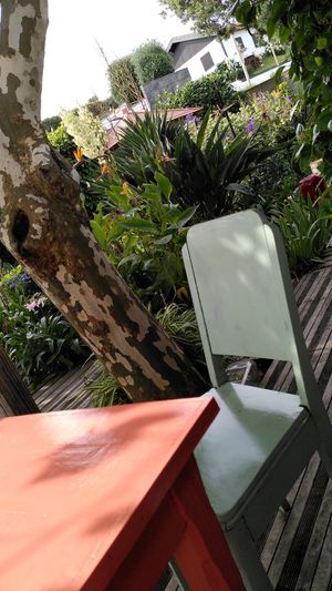  at Terra Fogo in Sao Miguel