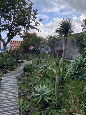   at Terra Fogo in Sao Miguel