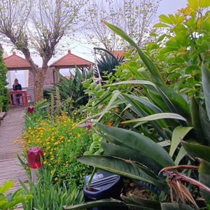  at Terra Fogo in Sao Miguel