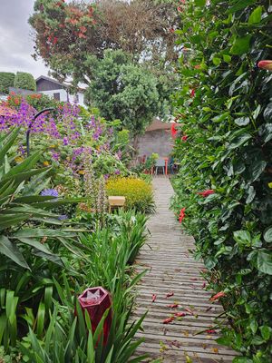  at Terra Fogo in Sao Miguel