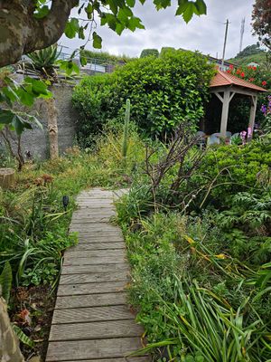  at Terra Fogo in Sao Miguel
