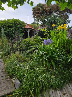  at Terra Fogo in Sao Miguel