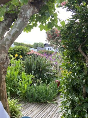   at Terra Fogo in Sao Miguel