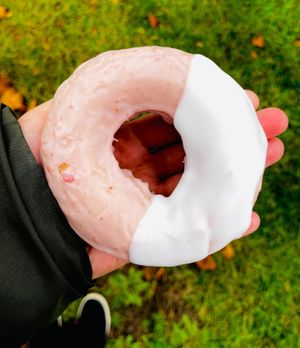  at Groovy Donuts in East Lansing