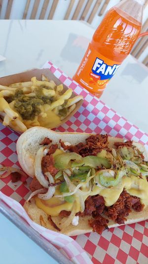 Seitan cheese steak & green chile cheeze fries at Nobody Calls Me Chicken in Albuquerque