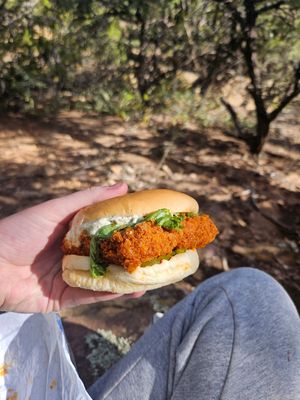  at Nobody Calls Me Chicken in Albuquerque