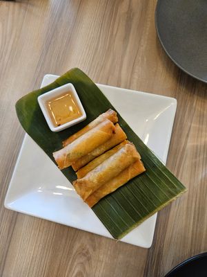 Spring rolls at Padmanadi Vegan Eatery in Calgary