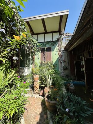   at Om Garden Cafe in Pai