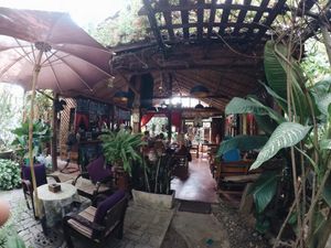 Lively at Om Garden Cafe in Pai