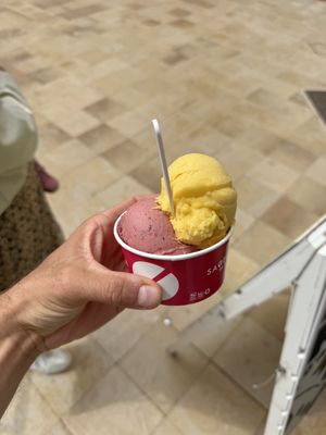Mango + Blueberry  at Sa Gelateria Gelats Artesans S.L. in Menorca