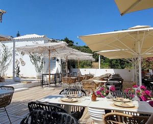  at Octopus  in Skiathos