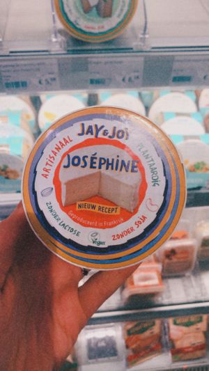 Vegan camembert at EkoPlaza in Eindhoven