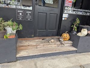  at Necromancy Cosmetica in San Juan
