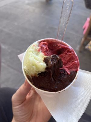 Lemon, berry and chocolate all vegan gelato!  at Gelateria Yogurteria Crepes E Granite in Riomaggiore