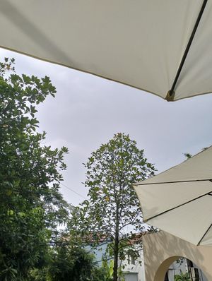 Atmostphere at Lang's Salad in Ninh Binh