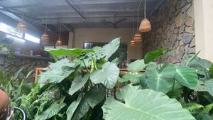   at Lang's Salad in Ninh Binh