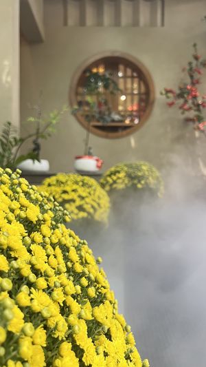   at Padme Chay in Ho Chi Minh City