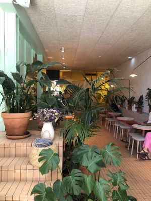   at Amélia Foz in Porto