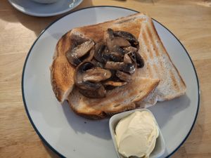 
Kavorna - mushrooms on toast, May 2025 (there were a lot more mushrooms than it looks like in this photo)
 at Kavorna Cafe and Bistro in Isles Of Scilly