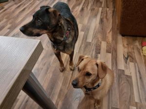 regulars of the pub at Szabad Bisztró - Új Hely in Budapest